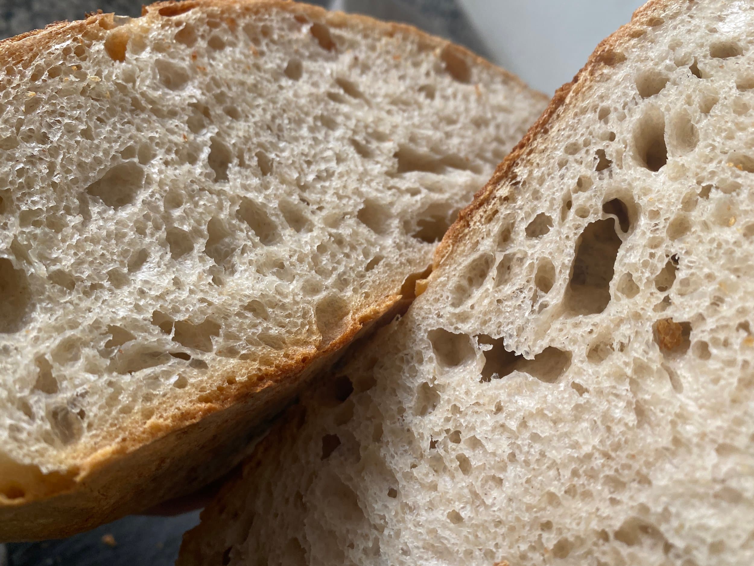 The open crumb of a homemade sourdough loaf, cut to show the texture