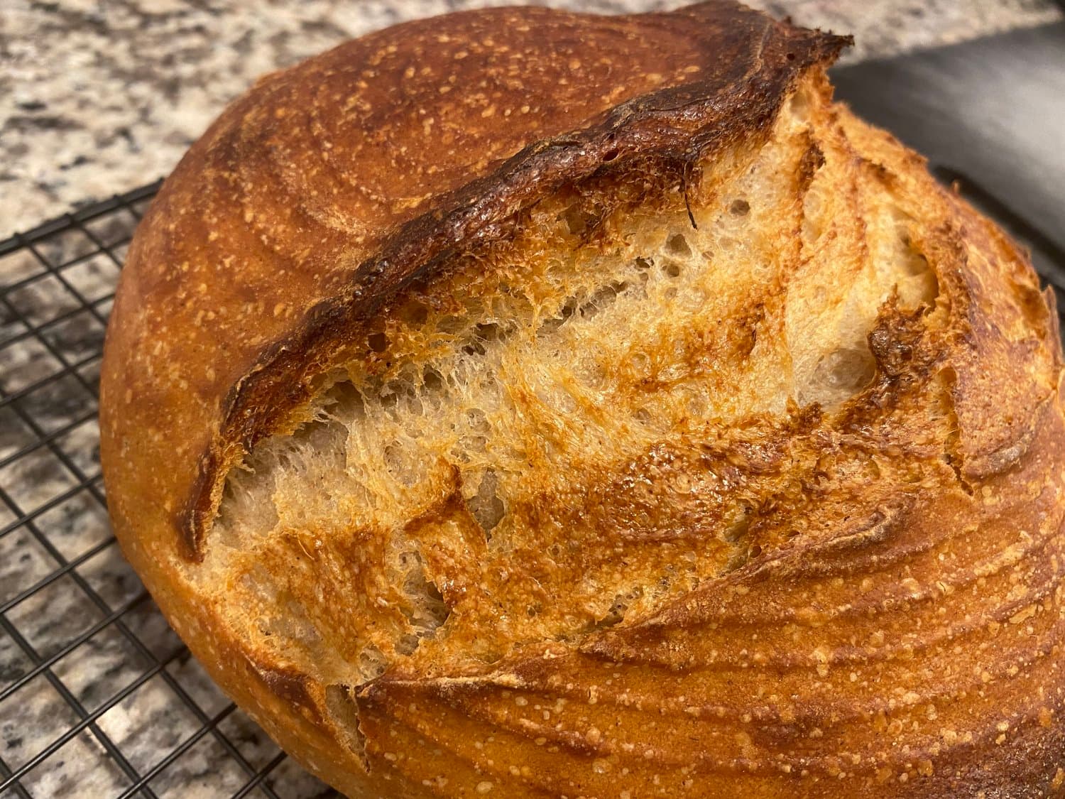 A golden sourdough boule with a burst score, cooling on a wire rack