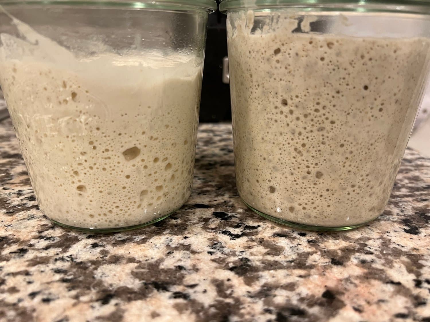 Two jars of bubbly sourdough starter side by side on the counter